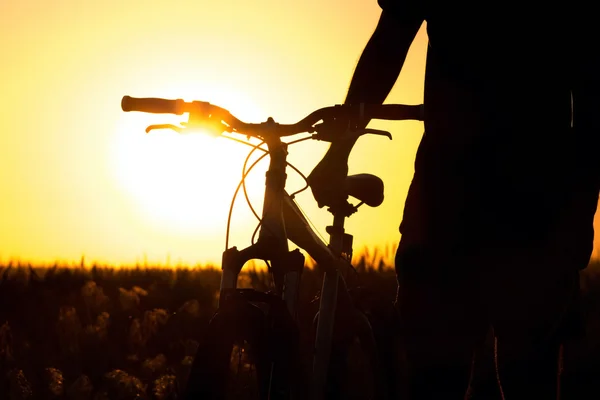 Silhueta de uma roda de bicicleta no campo — Fotografia de Stock