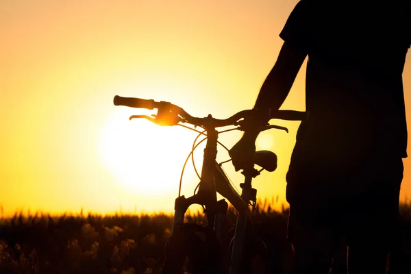 Silhueta de uma roda de bicicleta no campo — Fotografia de Stock