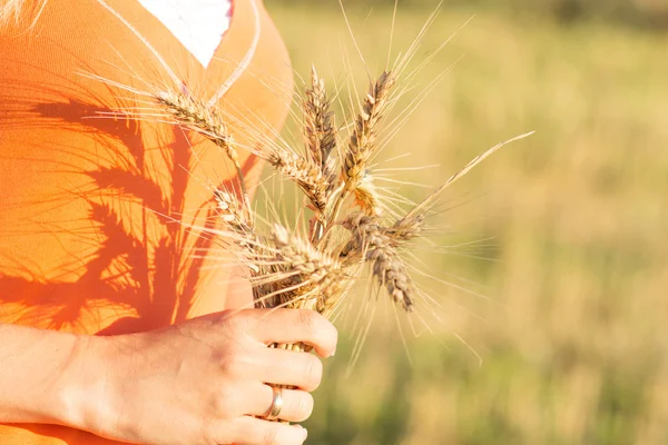 成熟的麦穗的大麦在手里的女孩 — 图库照片