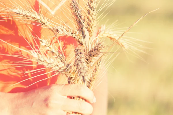 成熟的麦穗的大麦在手里的女孩 — 图库照片