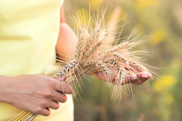 与成熟的麦穗的大麦在手里的女孩 — 图库照片