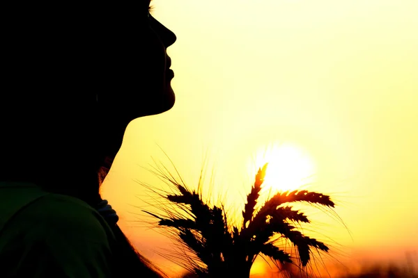 Silhouette of a girl in field with ears — Stock Photo, Image