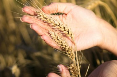 kulakları el ile alanında kız