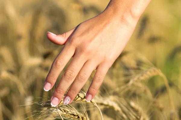 女孩的手里拿着的大麦的耳朵 — 图库照片