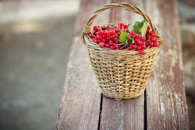 bankta sepet içinde kırmızı kartopu