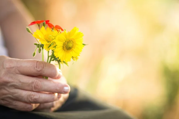 Flores nas mãos da mulher idosa — Fotografia de Stock