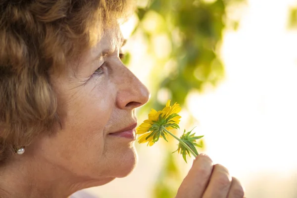Oma ruikt een gele bloem — Stockfoto