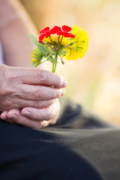 Bloemen in de handen van de oudere vrouw — Stockfoto