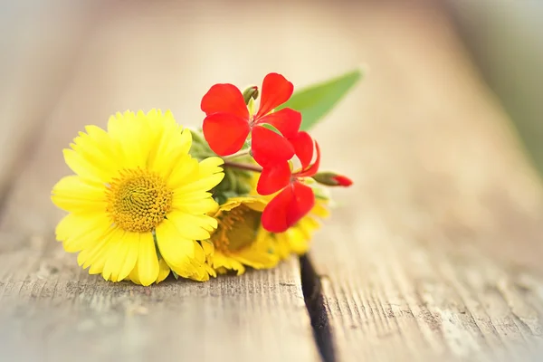 Blumen liegen auf einer Holzbank — Stockfoto