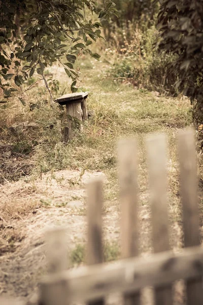 Wicket in abandoned garden — Stock Photo, Image
