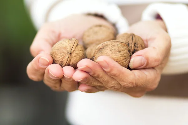 Nuts in the hands of woman — Stock Photo, Image