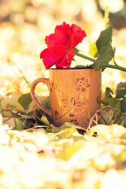 Kahvaltı rose ve kahve