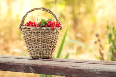 bankta sepet içinde kırmızı kartopu