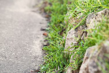 çit yol boyunca taş