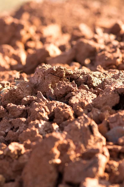 background texture of wet clay