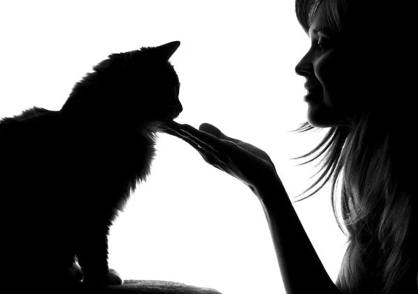 Silhueta de uma mulher com um gato nos braços — Fotografia de Stock