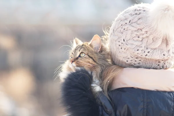 Winter portrait of a woman with a cat — Stock Photo, Image