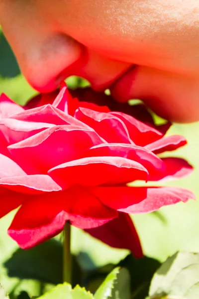 Fille fermant les yeux sentant la belle rose rouge — Photo