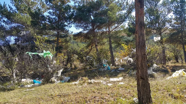 Sacos Plástico Floresta Nas Árvores Movem Vento Muito Lixo Natureza — Fotografia de Stock