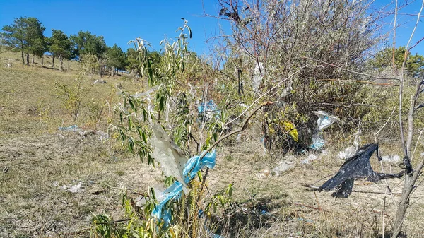 Sacos Plástico Floresta Nas Árvores Movem Vento Muito Lixo Natureza — Fotografia de Stock