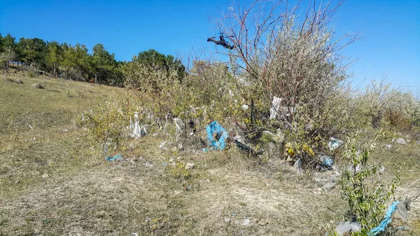 Plastpåsar Skogen Träden Rör Sig Vinden Det Finns Mycket Skräp Stockbild