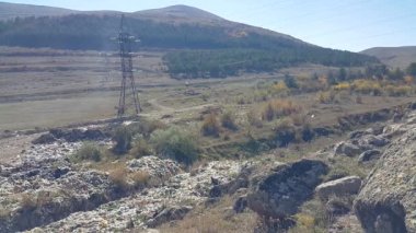 Doğada, ormanın yakınındaki çöplük. Çevre koruma ile ilgili sosyal sorunlar. Doğanın kirliliği.