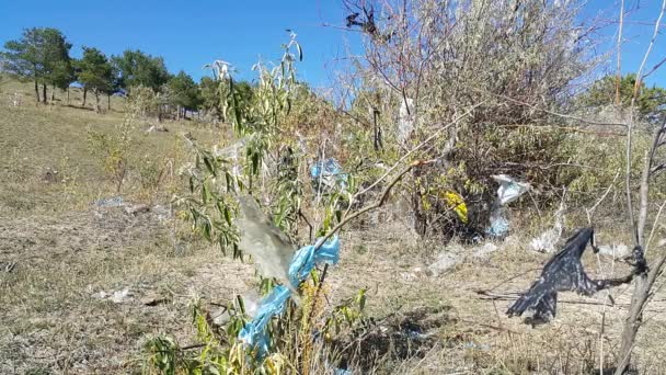 Plastic Bags Forest Trees Move Wind Lot Garbage Nature Social — Stock Video