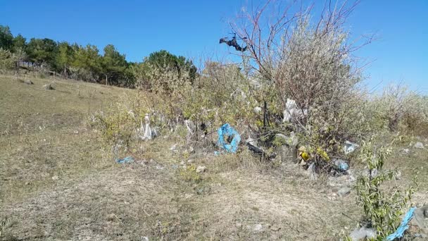 Plastiktüten Wald Den Bäumen Bewegen Sich Wind Liegt Viel Müll — Stockvideo