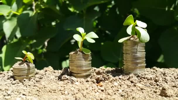 种植金钱 硬币上的植物 金融与投资的概念 从成堆的硬币中生长的植物 银行业 存钱或降低利率的概念 商业衰退 — 图库视频影像