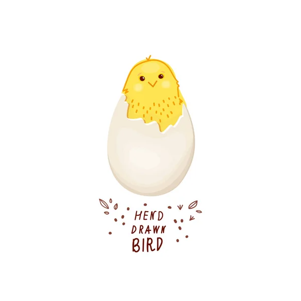 Chick Pollo Incubado Huevo Gallina Agrietado Dibujos Animados Aves Recién — Vector de stock
