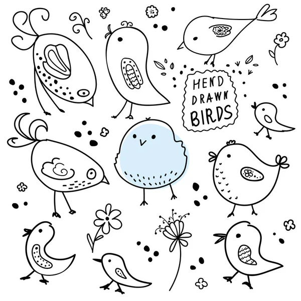 Colección Aves Colorido Pájaro Dibujado Mano Doodle Línea Negra Sobre — Vector de stock