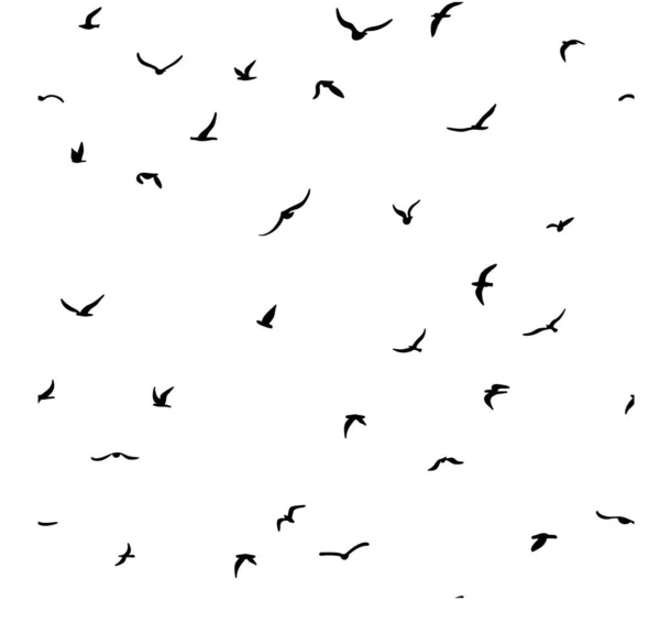 Flock Flying Silhouette Birds Bird Seamless Pattern Black White Background — Stockový vektor