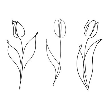 Bir lale çizimi. Bir dizi soyut, minimalist laleler. Siyah ve beyaz karalamalar. Lale simgesi, logo veya etiket.