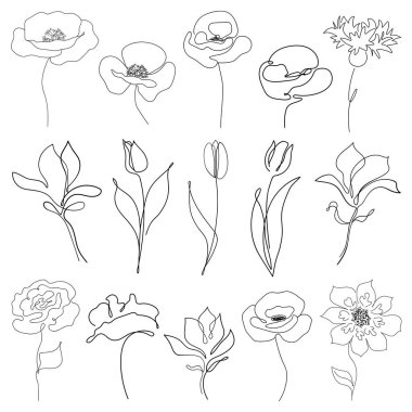Tek sıra çiçek koleksiyonu. Minimalist, izole edilmiş gelincikler, laleler, güller ve diğer çiçekler. Siyah ve beyaz karalamalar. Bir çiçek simgesi, logo veya etiket.