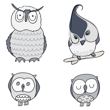 Baykuşlar, kuş koleksiyonu. Bir dala gri kuşlar ve civcivler çizilmiş. Beyaz arka planda siyah çizgiler. Kelime.