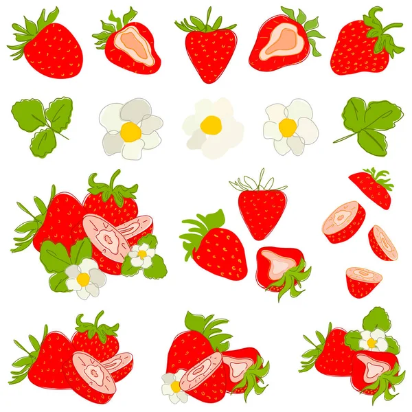 Yeşil yapraklı çilek karikatür çizimi