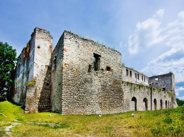 Середньовічний замок в Чорткові Стокова Картинка