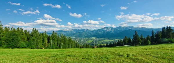 Panoramautsikt över Tatrabergen Royaltyfria Stockbilder