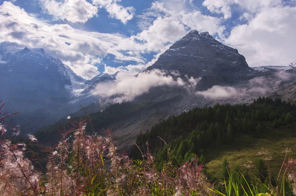 Paso de Stelvio en los Dolomitas —  Fotos de Stock