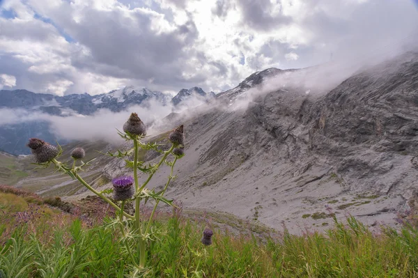 Paso de Stelvio en los Dolomitas —  Fotos de Stock