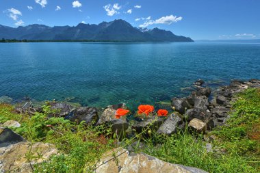 Cenevre Gölü, İsviçre 'de güneşli bir gün