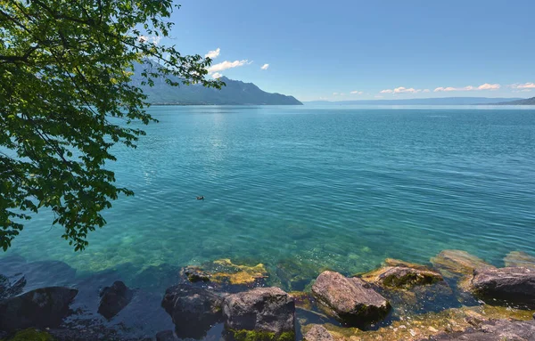 Hari Yang Cerah Danau Geneve Swiss — Stok Foto