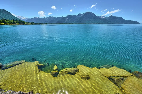 Día Soleado Lago Geneve Suiza —  Fotos de Stock