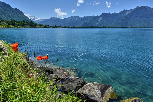Hari Yang Cerah Danau Geneve Swiss — Stok Foto