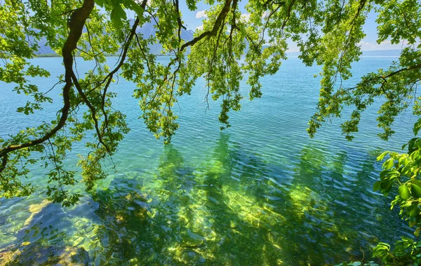 瑞士日内瓦湖上的艳阳天 免版税图库照片