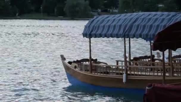 Pletna Bled Gölü Nün Sularında Geleneksel Sloven Ahşap Teknesi — Stok video