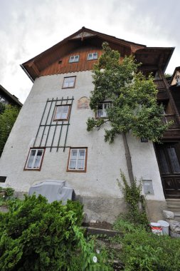 Armut Ağacı
