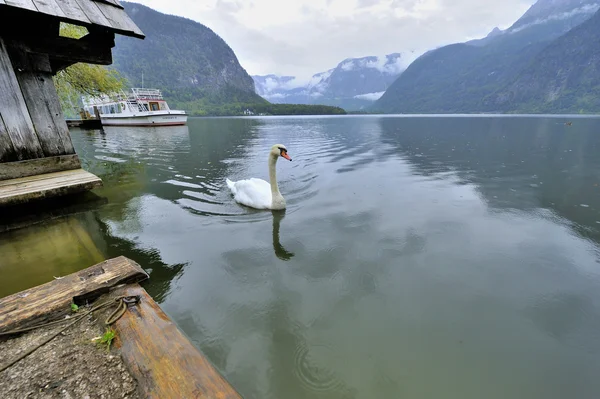 Lago de Hallstatt — Fotografia de Stock