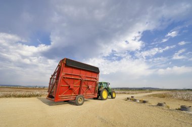 Pamuk Hasat, tarım teknikleri