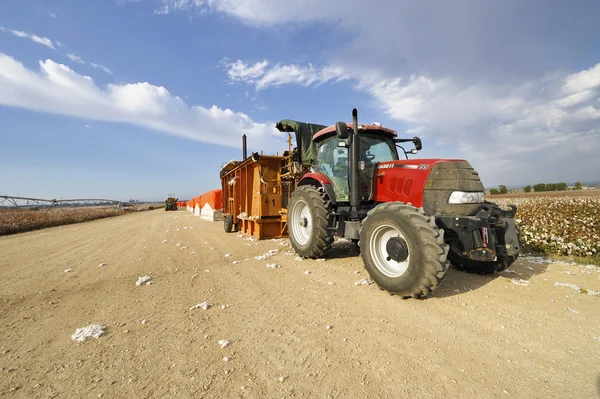 Agricultural Technics at Cotton Harvest — Stock Photo, Image